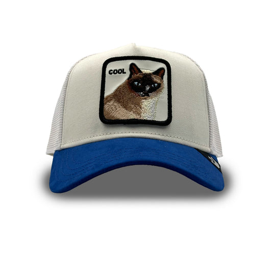 Goorin Cap V2 Cool Cat