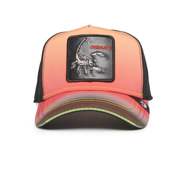 Goorin Cap Finish Him