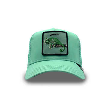 Goorin Cap Low Key Chameleon