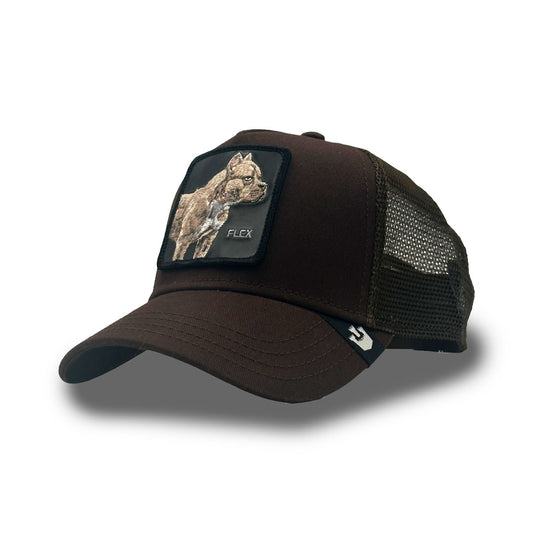 Goorin Cap Pitbull Flex (TRUCKER)