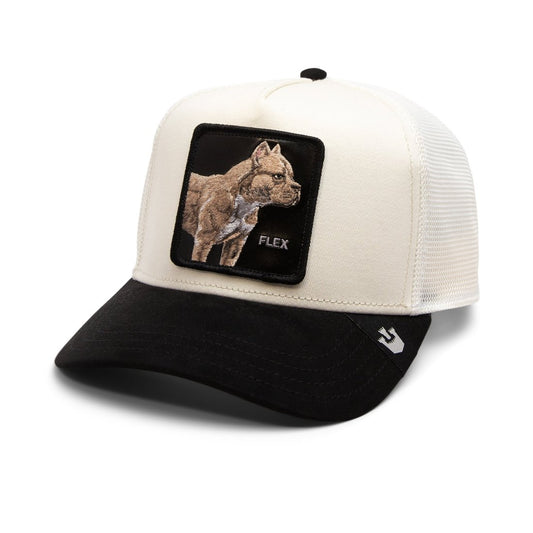 Goorin Cap The Suede Pitbull