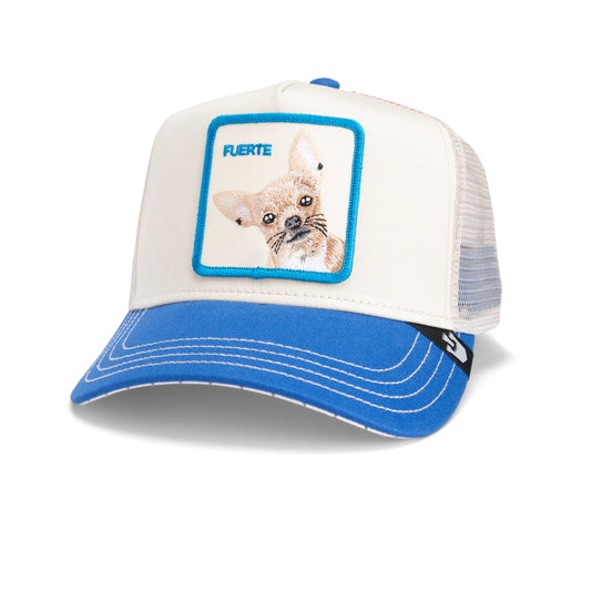 Goorin Bros Cap The Fuerte Dog