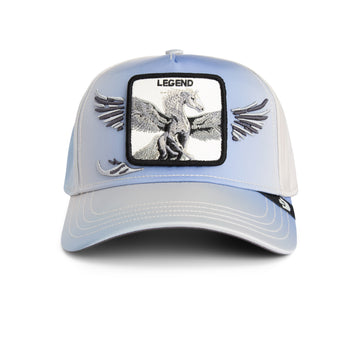 Goorin Cap Flare Up