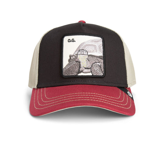 GOORIN CAP- Tricolor Tortiouse
