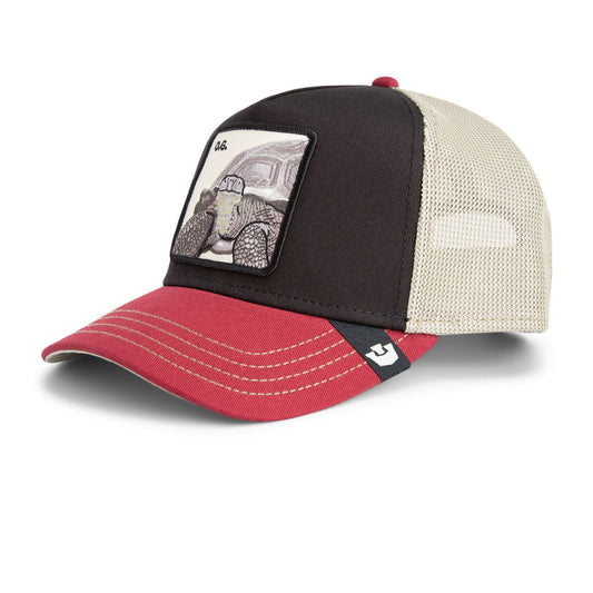 GOORIN CAP- Tricolor Tortiouse
