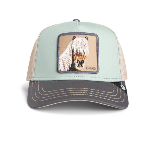 Goorin Cap Driekleurig Paard