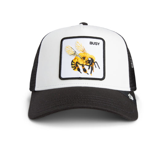 Goorin Cap The Busy Bee