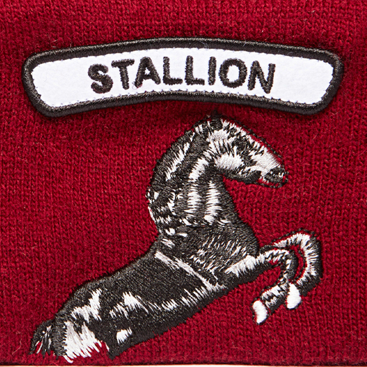 Goorin Beanie Soft Rock Stallion